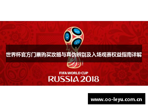 世界杯官方门票购买攻略与真伪辨别及入场观赛权益指南详解